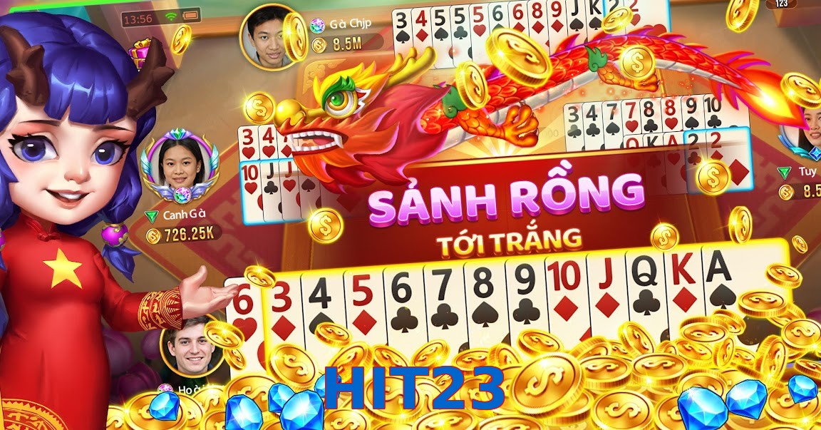 HIT23